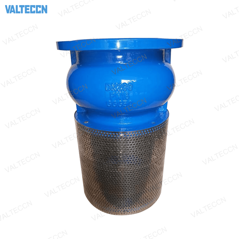 ductile iron foot valve with strainer